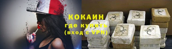 гидра Алексин