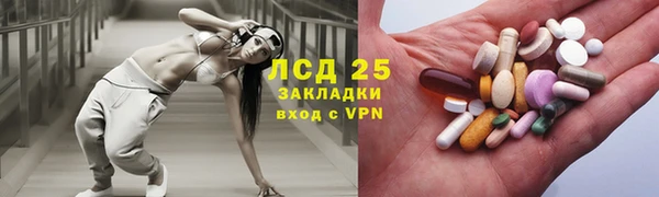ECSTASY Алзамай