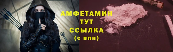гидра Алексин