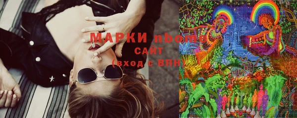 ECSTASY Алзамай