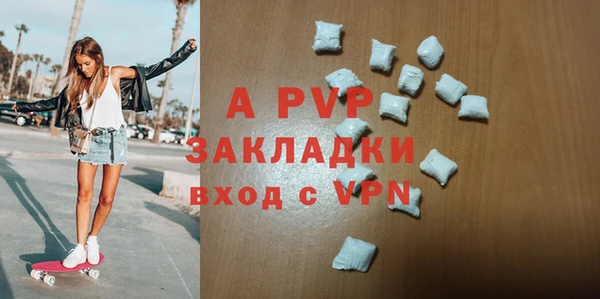 ECSTASY Алзамай