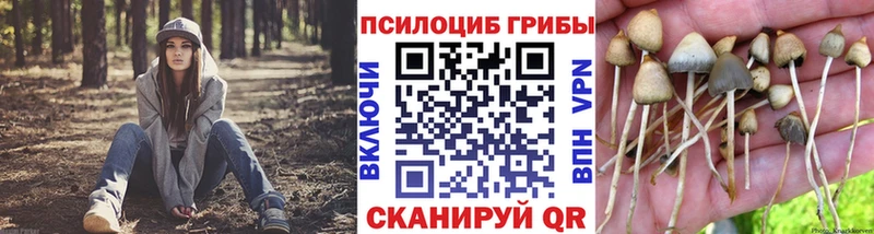 Галлюциногенные грибы Magic Shrooms  KRAKEN как войти  Котельники 