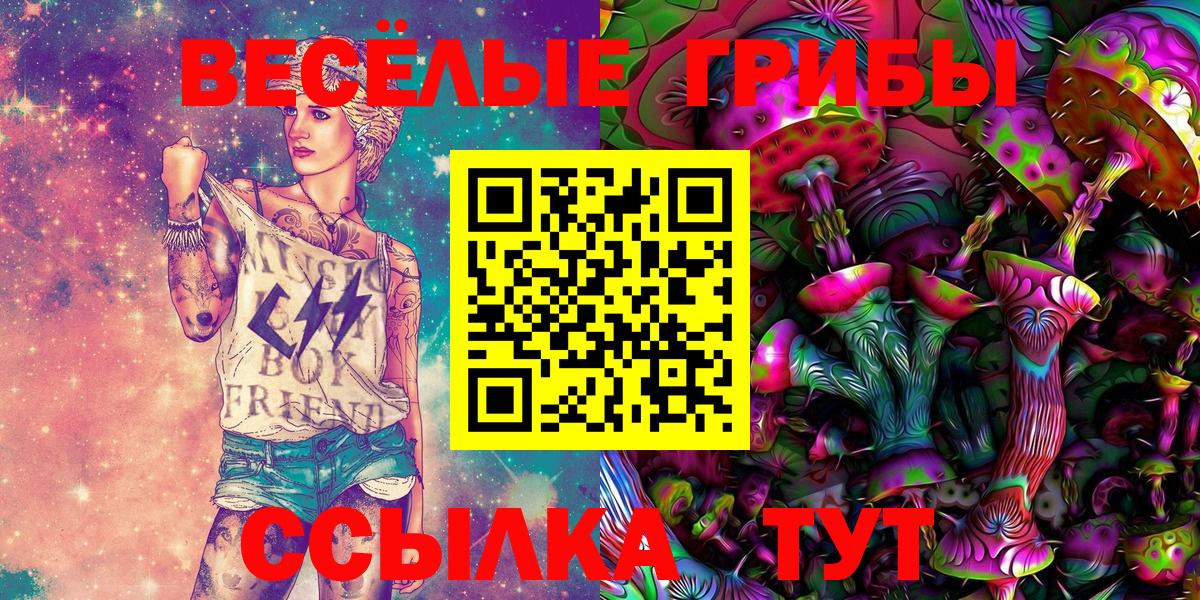 Псилоцибиновые грибы GOLDEN TEACHER Котельники